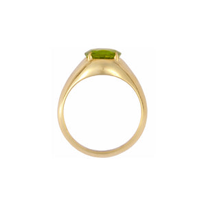 Ando Men Gemstone Ring 2023-094