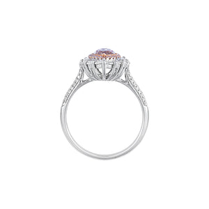 Chroasia Double Halo Ring - Pink Diamond Marquise AU456