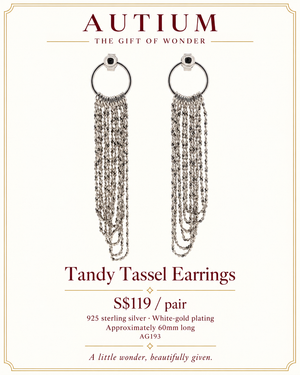 Tandy Dangling Earrings AG193