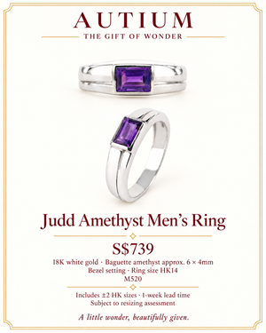 Judd Amethyst Gemstone Men's Ring - Purple Baguette M520
