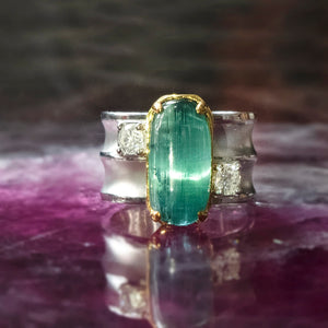 Catho Wide Gemstone Ring 2022-099