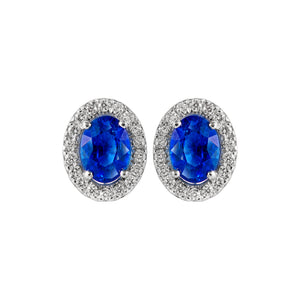 Lily Halo Earrings - Sapphire Oval 2023-005