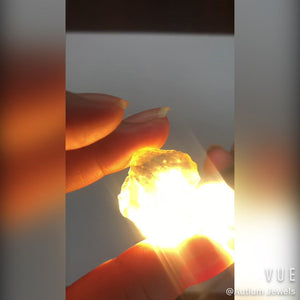 41 LIBYAN DESERT GLASS GOLD TEKTITE G617