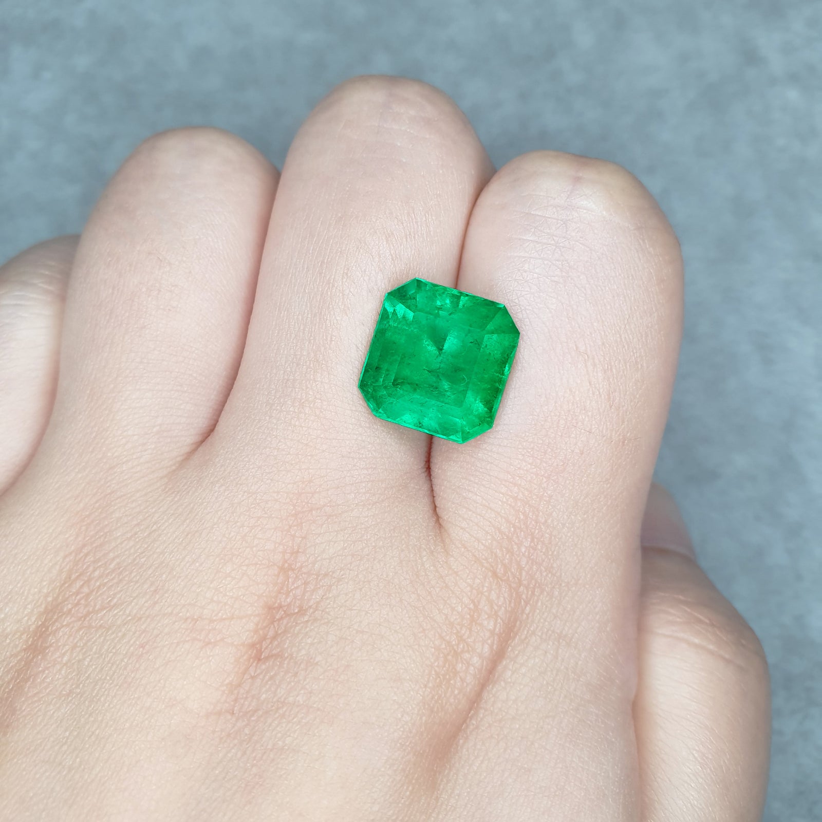 Colombian Emerald Rectangular 8.19CT G006