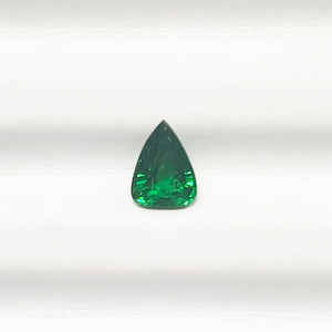 Tsavorite Teardrop/Pear 1CT Mixed Cut G203