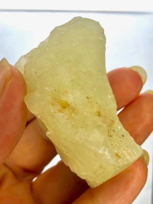 16 HENOS  LIBYAN DESERT GLASS GOLD TEKTITE G592