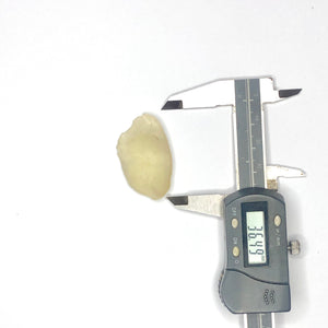 34  LIBYAN DESERT GLASS GOLD TEKTITE G610