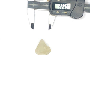 37 LIBYAN DESERT GLASS GOLD TEKTITE G613