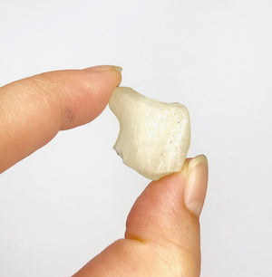 39 LIBYAN DESERT GLASS GOLD TEKTITE G615