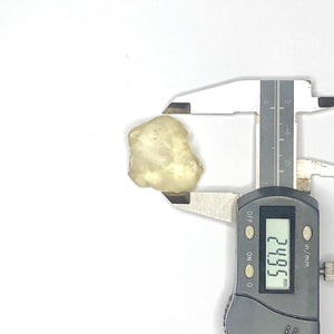41 LIBYAN DESERT GLASS GOLD TEKTITE G617