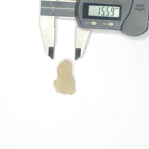 42 LIBYAN DESERT GLASS GOLD TEKTITE G618
