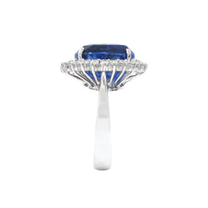 Unheated 13.52CT Blue Sapphire Halo Ring M436 AU425