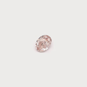 Gia pink hotsell