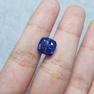Vivid Blue Sapphire Cushion 5.71CT M546