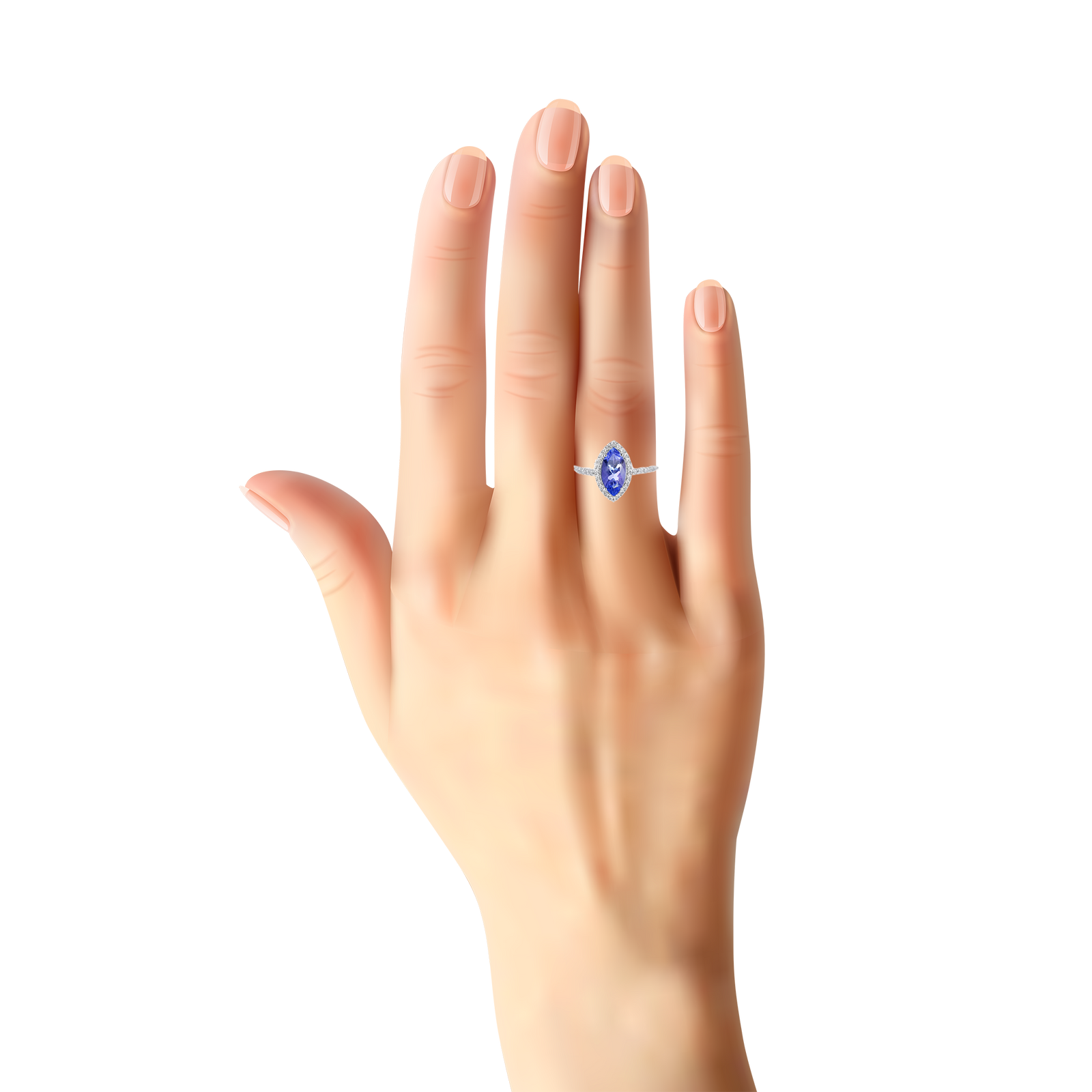 Chroasia Marquise Halo With Side Stone - Tanzanite Marquise W044